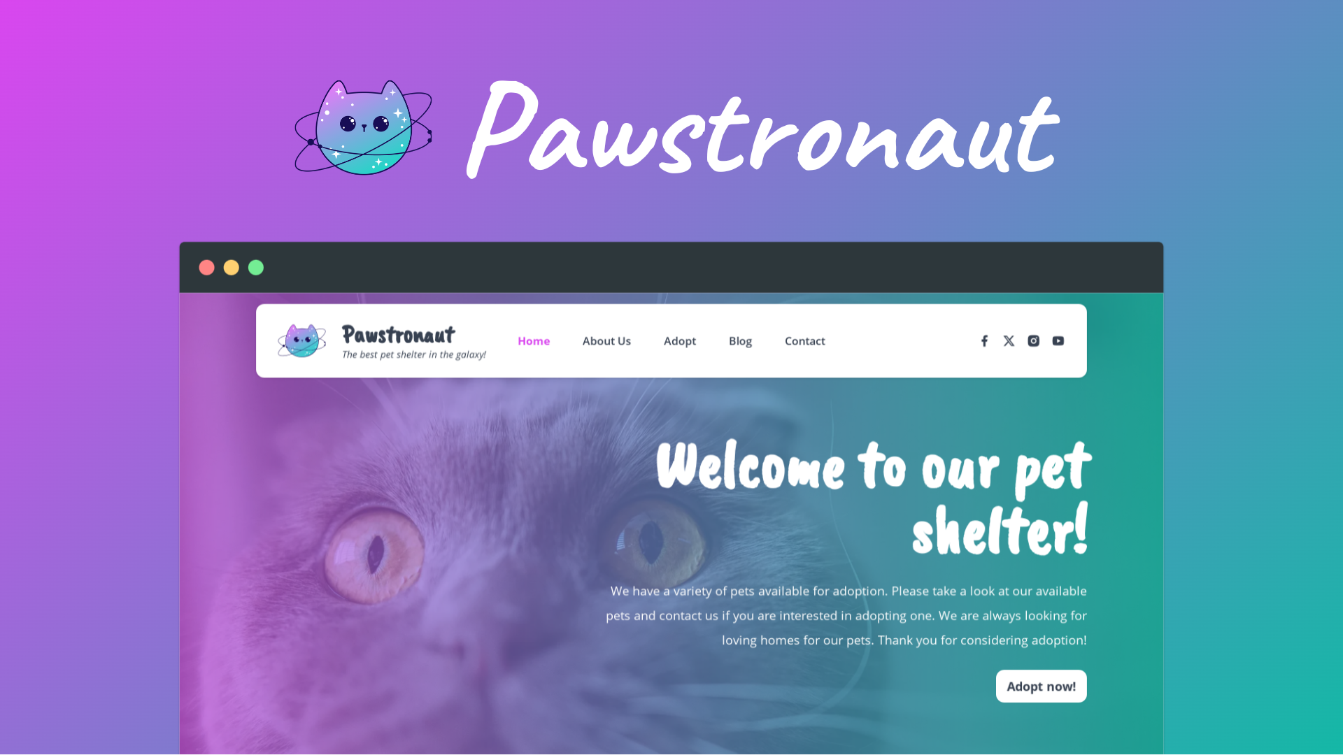 Aperçu coloré d’un site d’association de protection animale